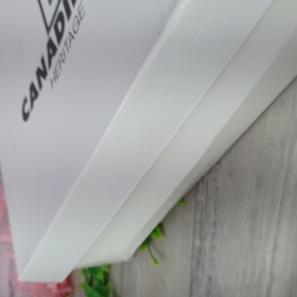 La Canadienne Suede Hero Boot NIB - Picture 13 of 13